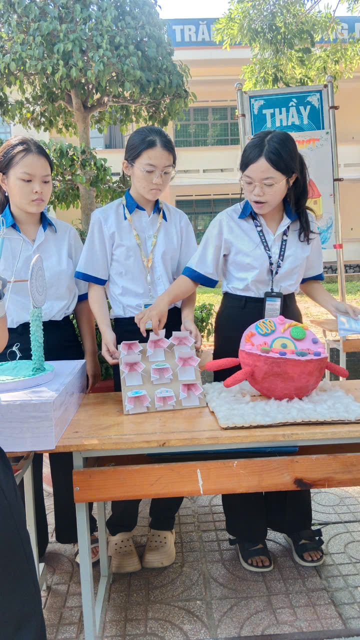 z7666036741517 5922c3565c772074cc76d9c95e8c6fd9